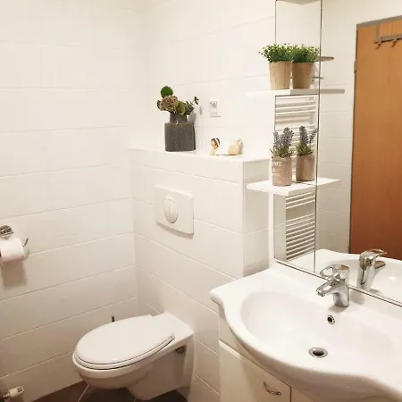 Red Rose * Moravske Toplice