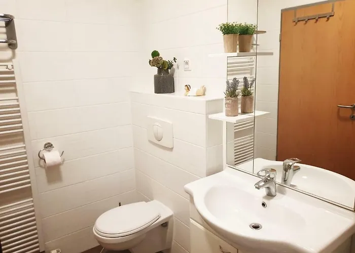 Red Rose * Moravske Toplice